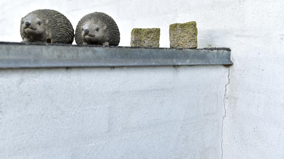 Galleri - Tryk og se alle billederne.