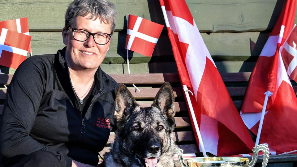 Galleri - Tryk og se alle billederne.