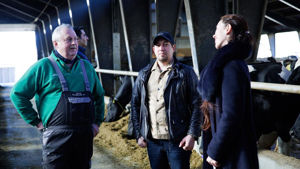 Martin Pinholt (tv.), landmand ved Aalestrup, står med to af sine ansatte, begge fra Ukraine. Artem Hameniuk og Sofiia Morgul (th.). Foto: Bo Lehm <i>Foto: Bo Lehm</i>