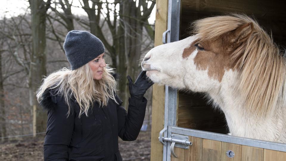 Hestene har altid været en stor del af Pernille Larsens liv - før var det i fritiden, men nu er de en del af hendes arbejde. Foto: Henrik Louis