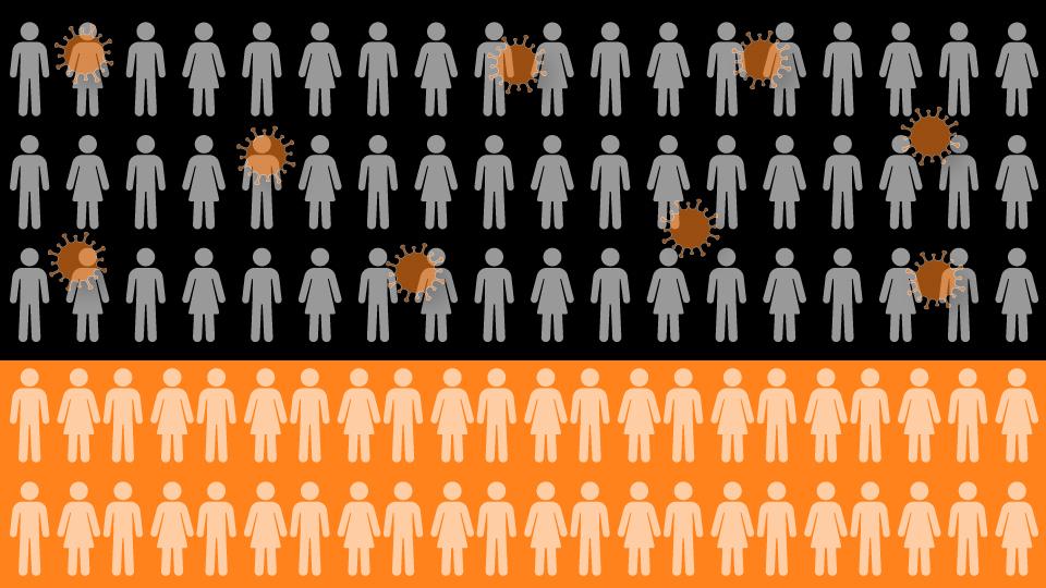 43 procent af nordjyderne er testet positive for covid-19 - men op til dobbelt så mange kan have været smittet, vurderer eksperter - derfor kan flokimmuniteten slå igennem, før vi aner. Grafik: Jette Klokkerholm