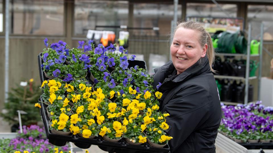 Susan Melsen har været rigtig glad for sine kunder og sin planteskole, som hun har drevet igennem seks år. Men nu er det slut. <i>Arkivfoto: Henrik Louis</i>