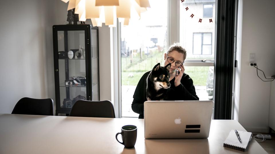Både på arbejdspladsen og derhjemme er der blevet arbejdet mange timer i fjerde kvartal 2021. (Arkivfoto). <i>Mads Claus Rasmussen/Ritzau Scanpix</i>