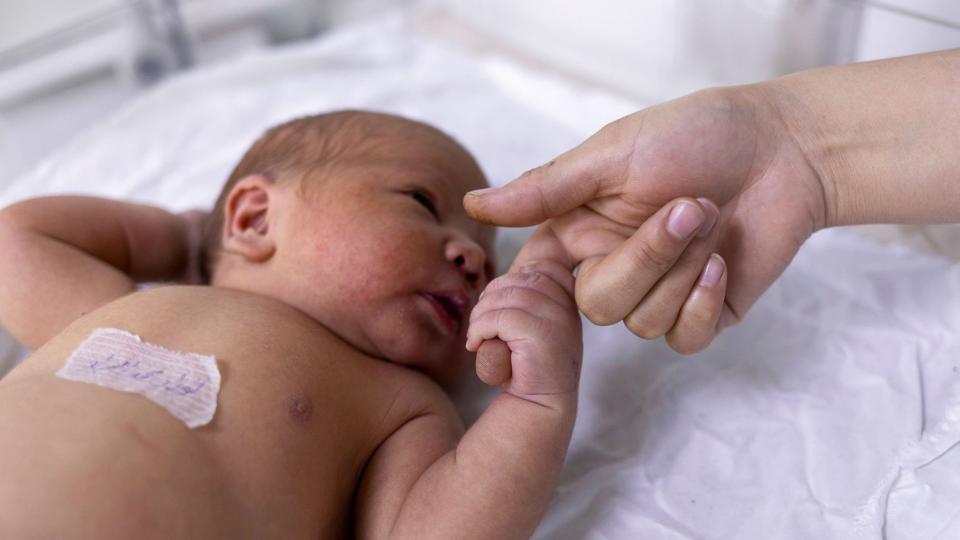 Det er særligt i fjerde uge af graviditeten, at der er risiko for, at der sker misdannelser af fostrets hjerte (Arkivfoto). <i>Jorge Silva/Reuters</i>