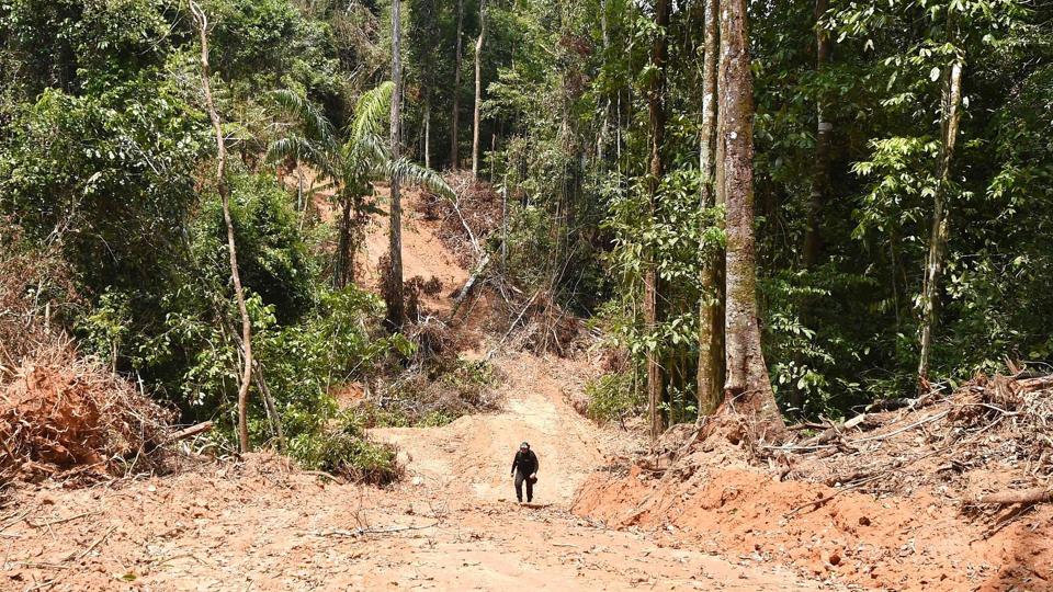 To drenge på henholdsvis seks og otte år blev fundet afkræftede efter knap fire uger i Amazonas-regnskoven. (Arkivfoto) <i>Evaristo Sa/Ritzau Scanpix</i>