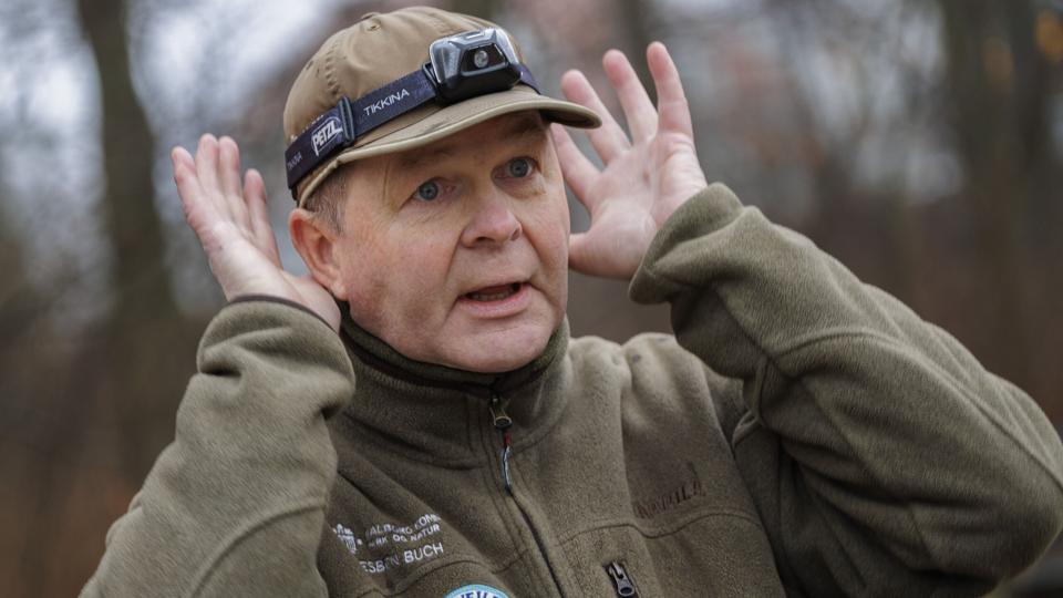 - Jeg har set en langøret flagermus, for første gang i Aalborg, lyder det med begejstring fra naturvejleder Esben Buch, der fortæller om flagermus-hannens vampyrbid, under den helt specielle parringsakt. Foto: Henrik Bo <i>Foto: Henrik Bo</i>