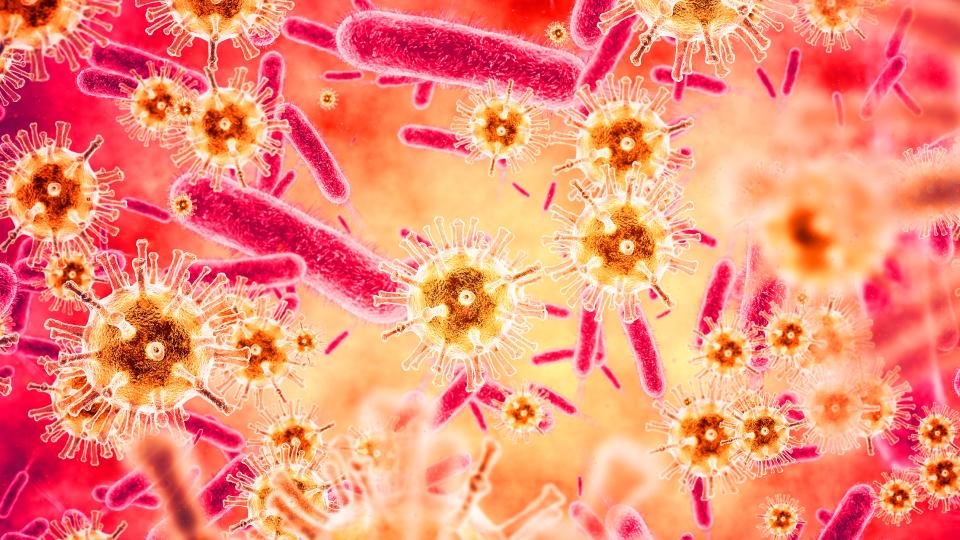 Vores immunforsvar er banket i bund - virus og bakterier florerer <i>Getty Images</i>