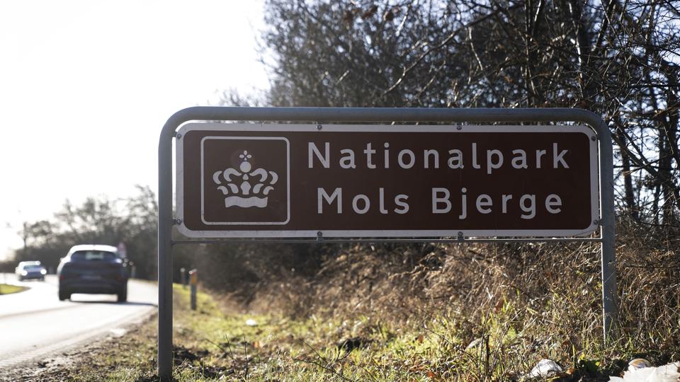 Mols Bjerge er i dag nationalpark, men skal fremover være naturnationalpark. Det har på forhånd skabt debat i lokalområdet. (Arkivfoto). <i>Bo Amstrup/Ritzau Scanpix</i>