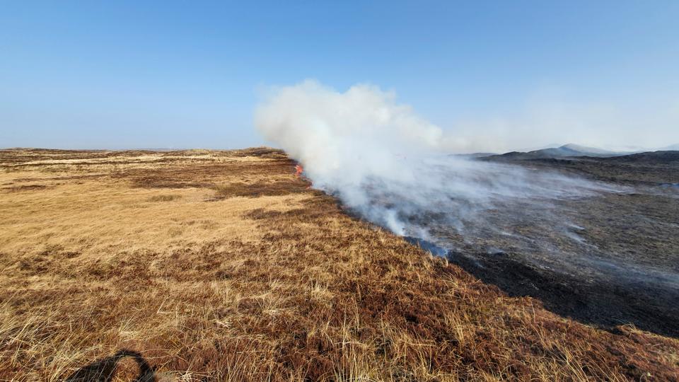 Der er brændt et område mellem Hanstholm og Klitmøller, hvor naturstyrelsens afbrænding af klitterne kom ud af kontrol. Hanstholm 24. marts 2022 <i>Foto: Ole Iversen</i>
