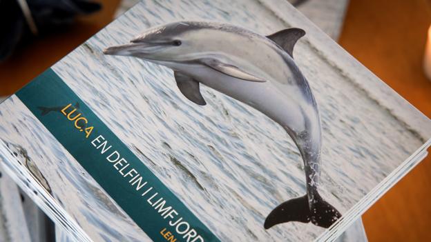 "Luca - en delfin i Limfjorden" er illustreret af nogle af de mange fotografer, som i efteråret 2020 opsøgte Sundby Mors Havn. <i>Foto: Bo Lehm</i>
