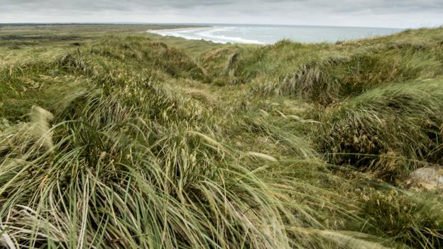 Fra Bulbjerg er der udsigt til Lildstrand og en stor del af det landskab, som kan blive del af Nationalpark Thy, hvis der kan findes opbakning til ønsket om en udvidelse af nationalparken. <i>Arkivfoto: Henrik Louis</i>