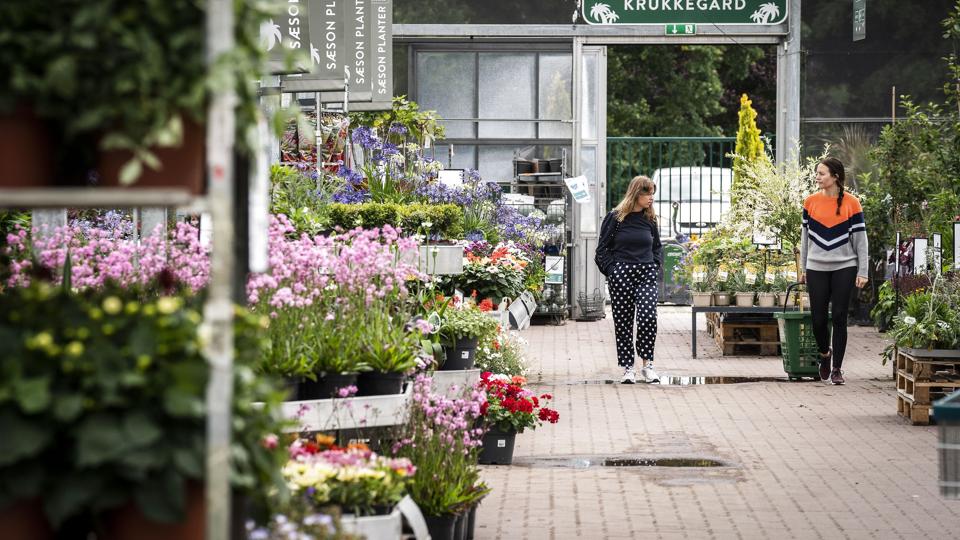 Plantorama har haft et godt 2021 med mange kunder i centrene. (Arkivfoto). <i>Ida Marie Odgaard/Ritzau Scanpix</i>