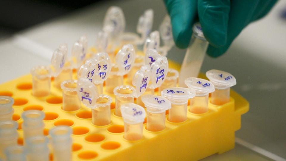 Kortlægning af menneskets dna har bidraget til den måde vi i dag behandler og forebygger en lang række sygdomme. Det gælder for eksempel kræftbehandling (Arkivfoto). <i>Robert Pratta/Reuters</i>