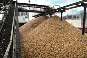 I kø for at blive kartoffelavler: Melfabrik udvider kraftigt