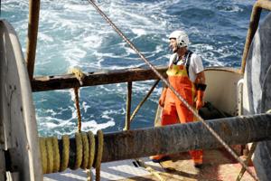 Nye forhandlinger om fiskeri i Nordsøen