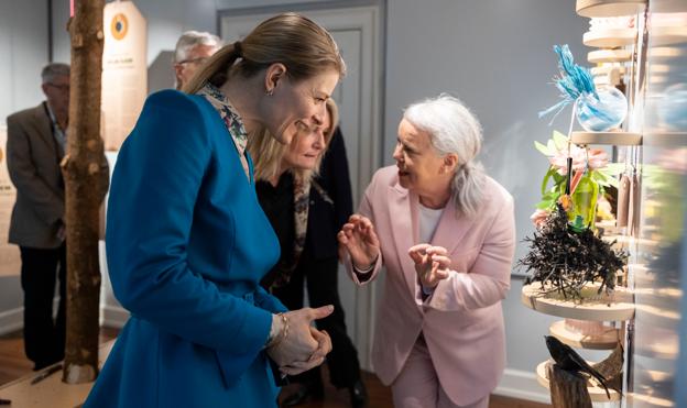 - Jeg er meget optaget af den her dagsorden - at kultur er tilgængelig for alle, uanset hvor i landet man bor, siger Ane Halsboe-Jørgensen, her fotograferet ved åbningen af "Vilde Hjem" i Det Grå Fyr i Skagen. <i>Foto: Michael Madsen, Octomedia</i>