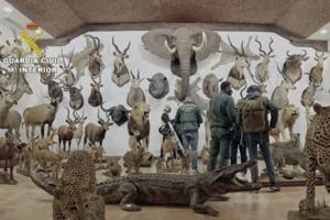 Spansk politi har opdaget kæmpesamling af udstoppede dyr