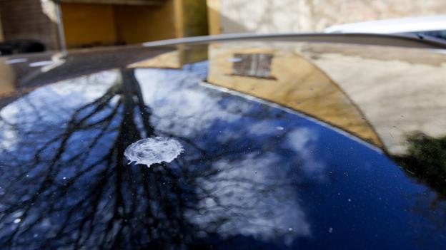 De talrige fuglelorte sender bilen i vaskehal mange gange hver måned.  <i>Foto: Bo Lehm</i>