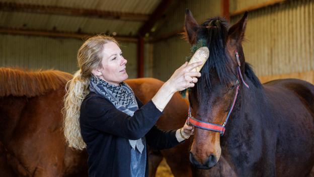 Louise Lynge indgik sammen med sin mand, Simon Lorenzen, et partnerskab med Helgstrand Dressage i sommeren 2016. <i>Foto: Torben Hansen</i>