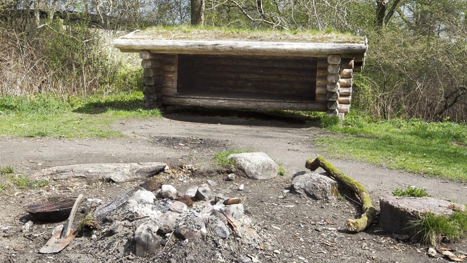 Op mod to tredjedele af alle sheltere i de statslige naturområder kan fremover bookes. En stigende efterspørgsel på overnatningsmuligheder i naturen har fået Naturstyrelsen til at hæve antallet af bookbare sheltere. <i>Axel Schütt/Ritzau Scanpix</i>