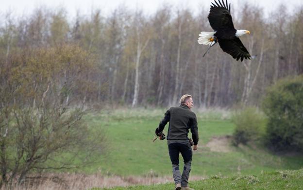 Morten Stricker var selv tæt på at fange havørnen tirsdag aften. <i>Foto: Bo Lehm</i>