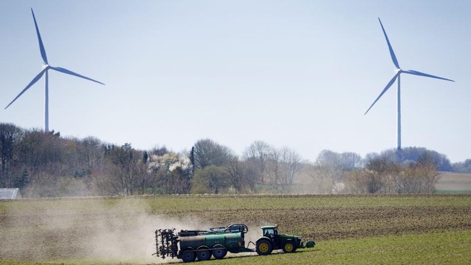 At brandfaren er høj lige nu skyldes blandt andet, at der i marts og april ikke er faldet meget nedbør. Marts var rekordtør med på landsplan kun 4,2 mm regn. April kom vådt fra start, men de seneste uger har der ikke været meget nedbør, oplyser DMI. (Arkivfoto). <i>Bo Amstrup / Ritzau Scanpix/Ritzau Scanpix</i>