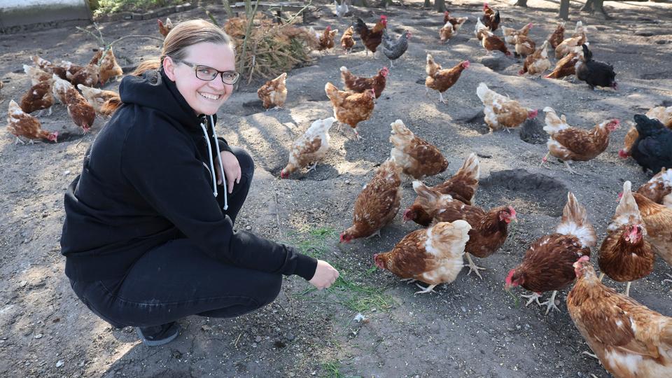 Dorthe Sidelmann har knap 100 høns på Grøntsagsgården, hvorfra hun sælger æg , grøntsager og marmelade. <i>Foto: Bente Poder</i>