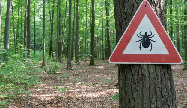 Nogle steder, hvor den alvorlige TBE er set blandt flåter, opsættes skilte, der advarer om risikoen. <i>Arkivfoto: Getty Images</i>