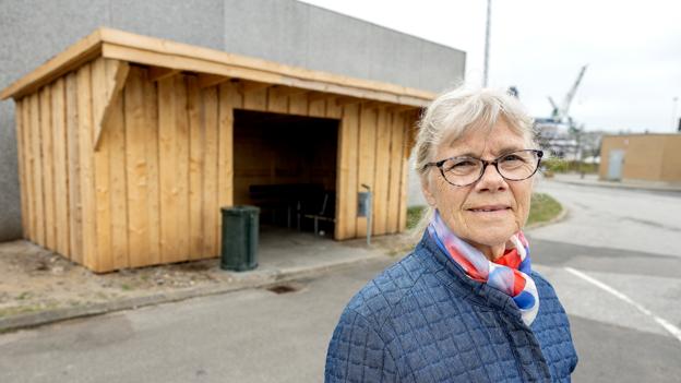 Alice Eriksen er medlem af ældrerådet i Frederikshavn Kommune, og hun konstaterer, at der er flere og flere borgere, som drikker i midtbyen. <i>Foto: Lars Pauli</i>