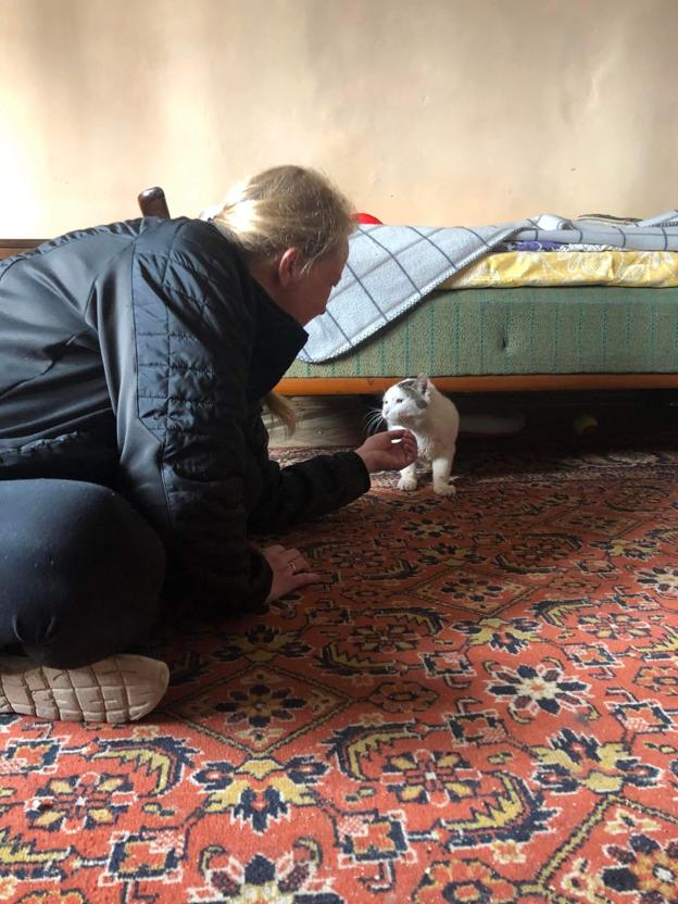 Det gav Anita stor glæde at se kattene have det godt i Lviv.  <i>Privatfoto</i>