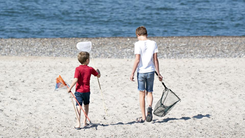 Det er vigtigt for børn at have noget at dele med de andre i skolen, når de kommer tilbage efter sommerferien, forklarer familiepsykolog Charlotte Diamant. (Arkivfoto). <i>Henning Bagger/Ritzau Scanpix</i>
