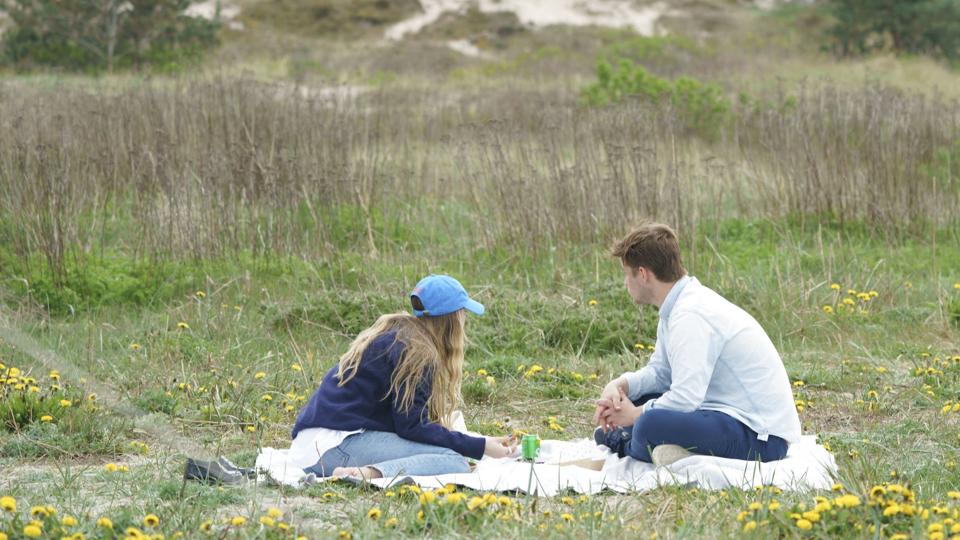 Både lørdag og søndag er der gode chancer for at få solen at se og for at have en picnic uden at blive våd. (Arkivfoto). <i>Keld Navntoft/Ritzau Scanpix</i>