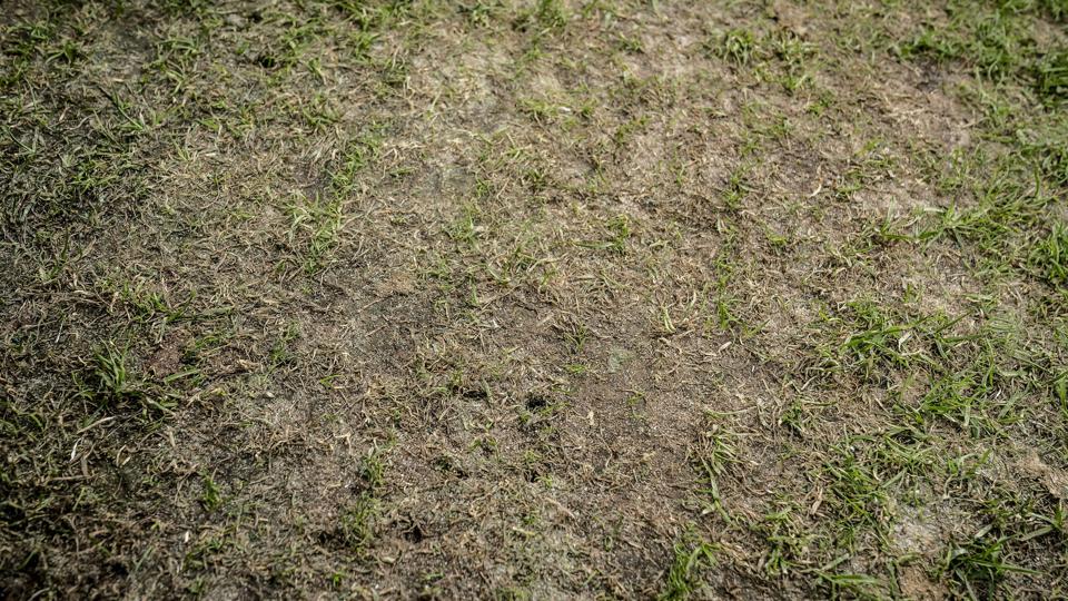 Sådan så græstæppet i Parken ud for 12 dage siden, hvor Randers FC mødte FC København. <i>Mads Claus Rasmussen/Ritzau Scanpix</i>