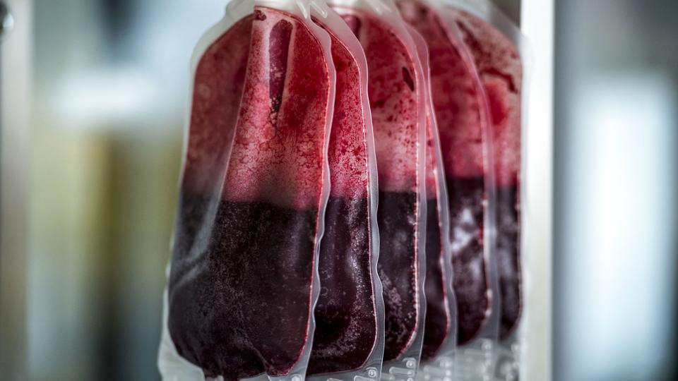 Blod fra bloddonorer har været med til at give Statens Serum Institut et mere retvisende billede af coronasmittens udbredelse, end PCR-testsystemet har kunnet. <i>Mads Claus Rasmussen/Ritzau Scanpix</i>