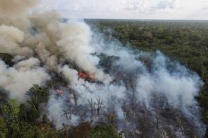 Område på to gange Bornholms størrelse er ødelagt i Amazonas i april