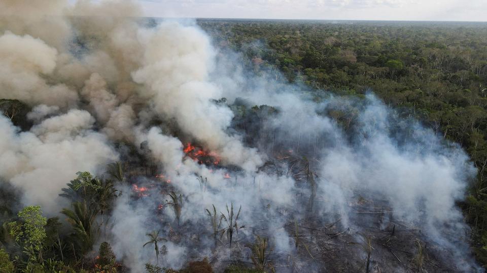 Rydning af skov i delstaten Labrea i Brasiliens amazonland. Ødelæggelsen af store områder af regnskov er taget voldsomt til under den højreorienterede præsident, Jair Bolsonaro. <i>Bruno Kelly/Reuters</i>