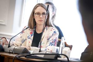 To ministre får næse for håndtering af Lynetteholmsag