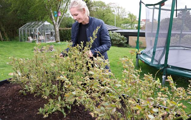 Ditte Hjørringgaard har to drenge, som også skal have deres plads i familiens have. Derfor har de stadig græsområder i haven tæt på Hjørring Bjerge. <i>Foto: Bente Poder</i>
