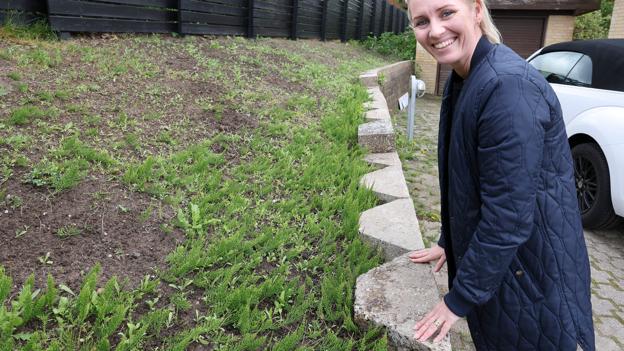 Vilde blomster er der sået her ved siden af indkørslen. Før lugede hun bede som dette. <i>Foto: Bente Poder</i>