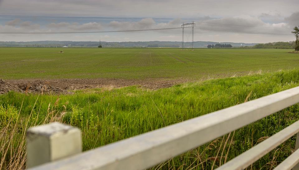 Solcelleparken kan dække strømforbruget hos 35.000 husstande årligt. <i>Arkivfoto: Lars Pauli</i>