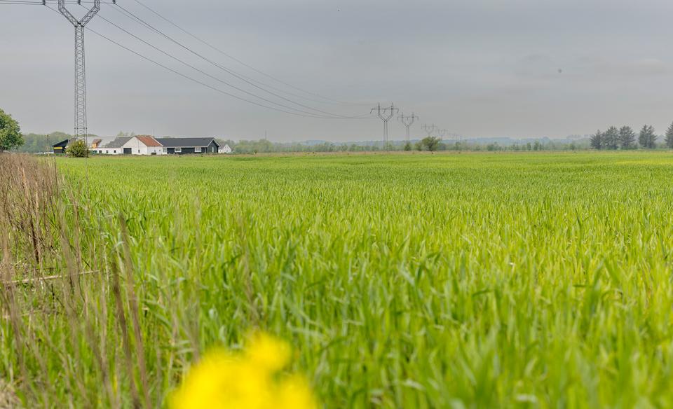 To store solcelleparker er på vej i Aalborg Kommune. Samlet set skal de to parker producere strøm, der svarer til 67.000 husstandes årlige strømforbrug. <i>Foto: Lars Pauli</i>