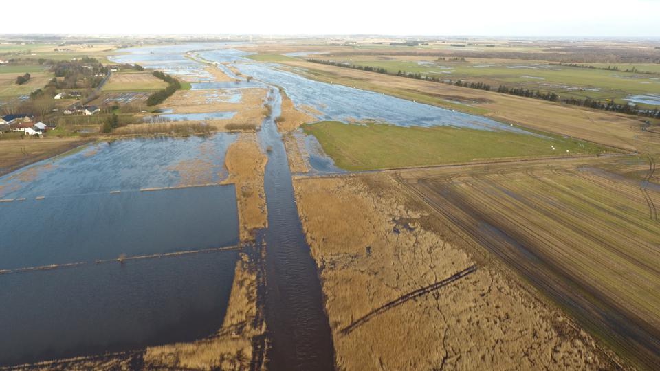 Et stort vådområdeprojekt langs Ryå er blevet sat på pause på grund af uklarheder om kompensation til lodsejerne. <i>Foto: Limfjordsrådet</i>