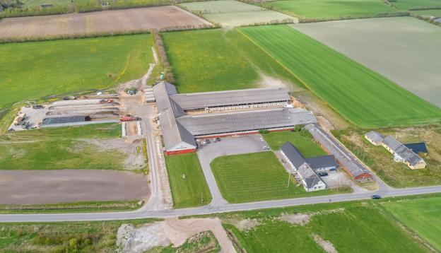Gert Gundersen ønsker at sælge sit landbrug, der består af to gårde og 580 økologiske malkekøer ved Fjerritslev. <i>Foto: LandboGruppen</i>