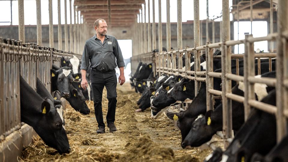 Gert Gundersen fra Fjerritslev vil gerne sælge sit kvægbrug, der består af to gårde og knap 600 øko-køer. Ingen af børnene vil overtage og han er selv blevet 61 år. <i>Foto: Lars Pauli</i>