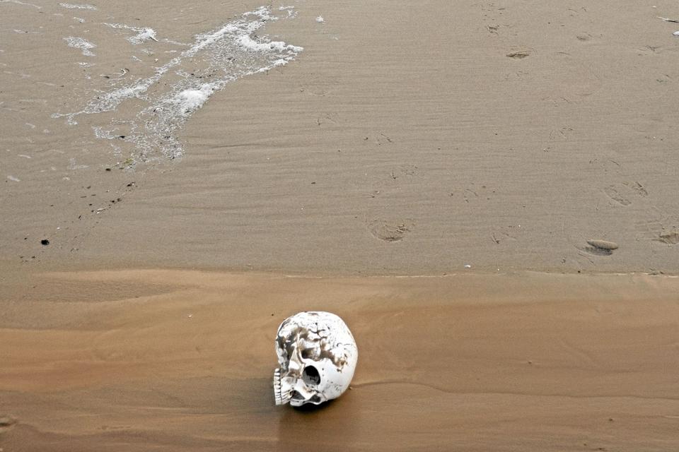 Det er smukt. Og selvom vi ser kadaver og en hel slangegård, stige lige op af havet og dødningehoveder på strandkanten, så er disse forgængelighedssymboler, hentet op fra barokkunsten, stilfærdige påmindelser af, at forfængelighed rimer på forgængelighed (Detalje fra værket: Swimmer)
