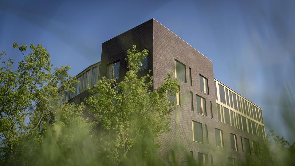 Retten i Roskilde har reserveret 30 retsmøder fra 9. august og frem til udgangen af november i en omfattende sag om overgreb mod børn. (Arkivfoto). <i>Mads Claus Rasmussen/Ritzau Scanpix</i>