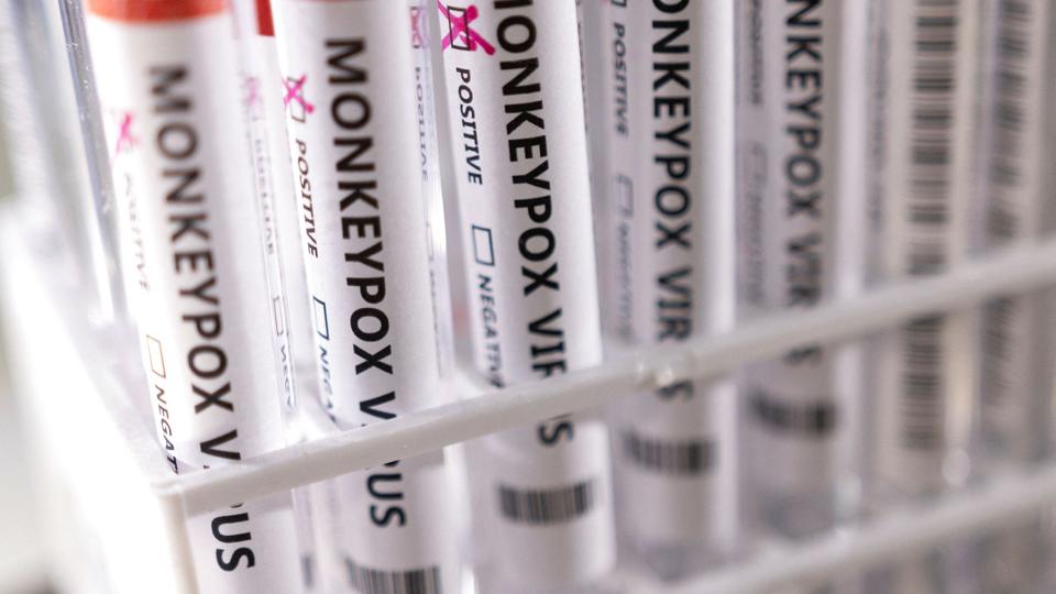 Abekopper viser sig typisk i form af feber, kulderystelser og et udslæt med blærer, som kan give sår, når de heler. <i>Dado Ruvic/Reuters</i>