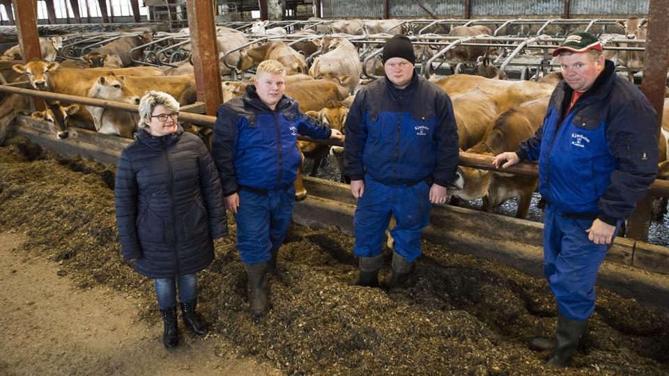 Landmandsparret Britta og Thorbjørn Thomsen har givet op efter en langvarig kamp mod en mærkelig sygdom i besætningen. Foto: Peter Broen