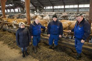 Mystisk kvæg-sygdom tvinger familie fra gården