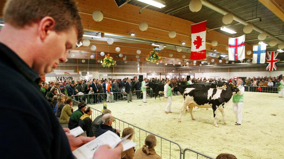 Når der til marts er Agro Nord i Messecentret i Aars, så bliver der også noget for det jagt- og fiskeri-interesserede. Arkivfoto: Michael Koch